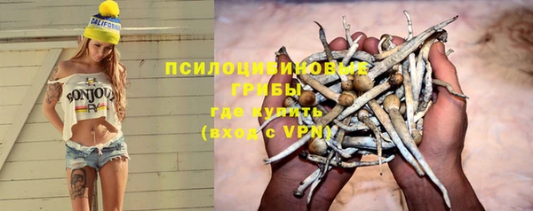 a pvp Богданович